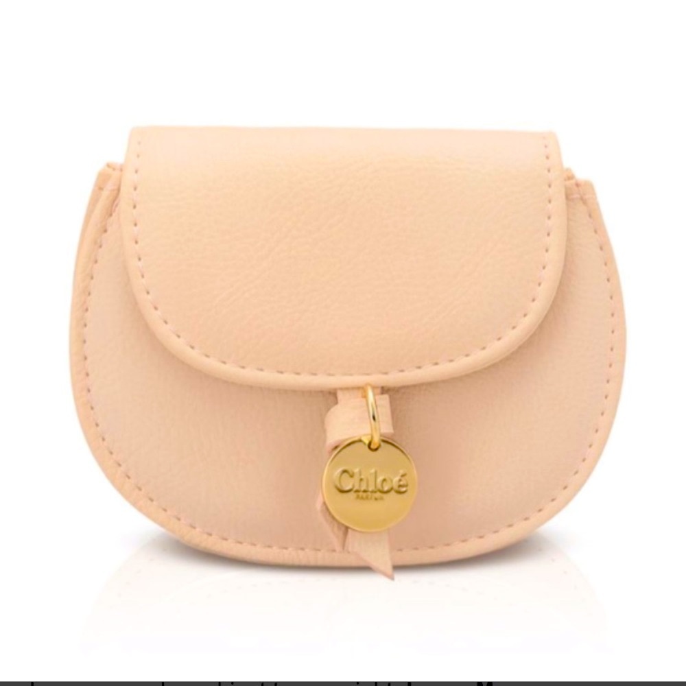 Chloe cosmetic pouch